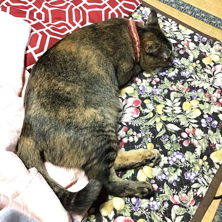 878727e4 3b97 4f48 afbb 3a6c13a65869 1636448738259