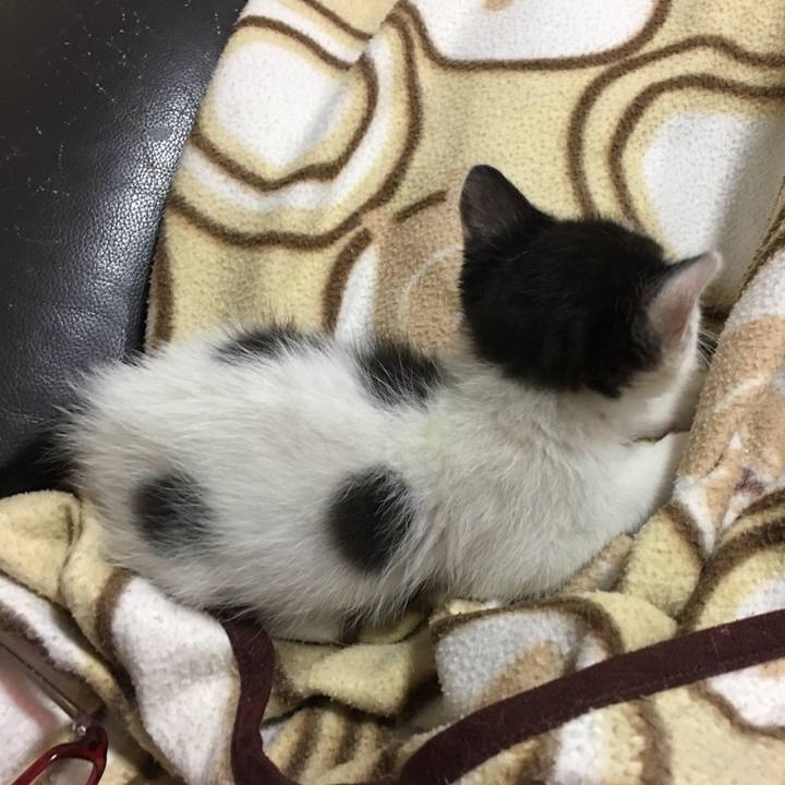 87874359 a5d4 4623 9926 6112f1ef95cb 1529237337216