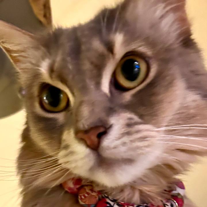 878752d3 616d 4b89 9dc5 307c6f8853cf 1766240009606