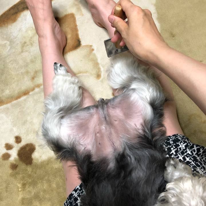 8787aaff 681a 4431 9806 21113a03a5a0 1562461706003