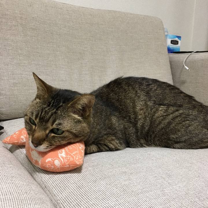 8787ae54 cc67 4bc0 9ff5 dbbe6e877176 1523781658419