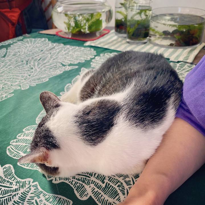 8787cc16 da16 4782 bbc8 e57b43e1f22f 1607400683248