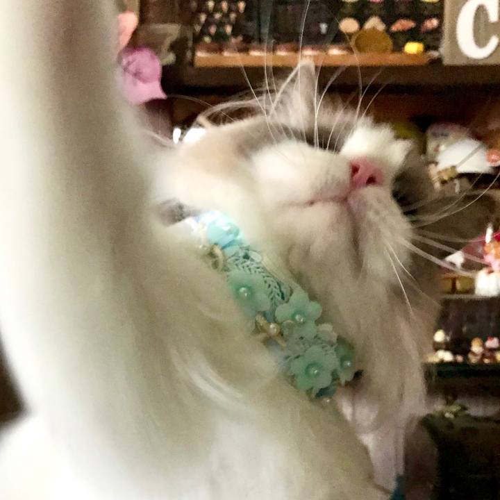 8787d879 e503 4cd1 9ca6 8574d4c6834a 1594450664410