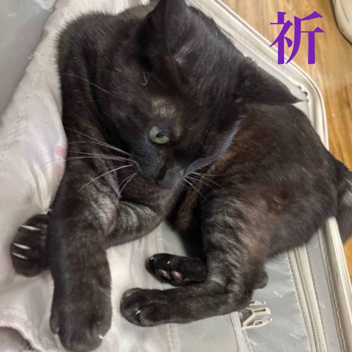 8787dda4 9b8e 46d7 946d d11677b84d1d 1768621526195