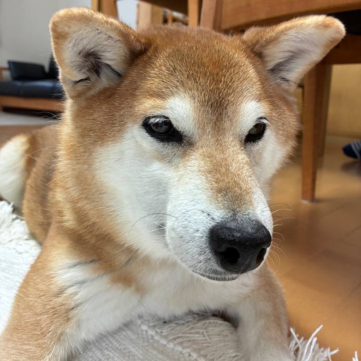 8787ead4 f15d 40f3 98a3 5a0bf1ebc77e 1768191333424