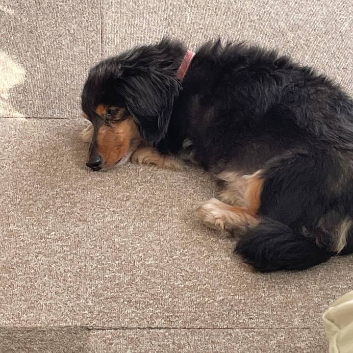 8787f8d0 d07d 4ce5 ac22 20da7d41692e 1622670948328