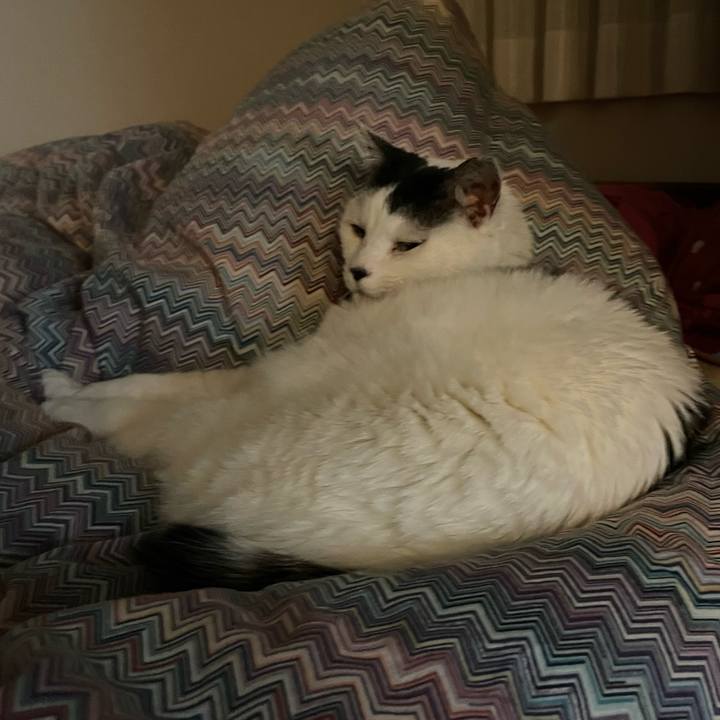 878802ac 3db1 431f a0dc d737230d36e6 1704635606521