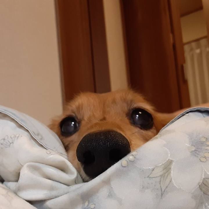 87886820 7553 4062 a0f6 eadaaa59982e 1611925512927