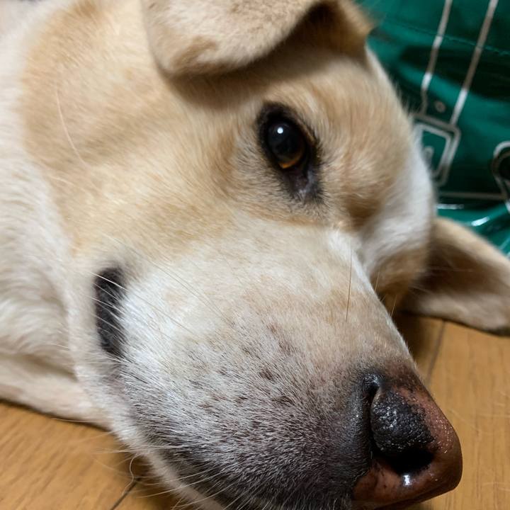 8788b58f 1602 44d7 9051 0172208a0294 1567004686000