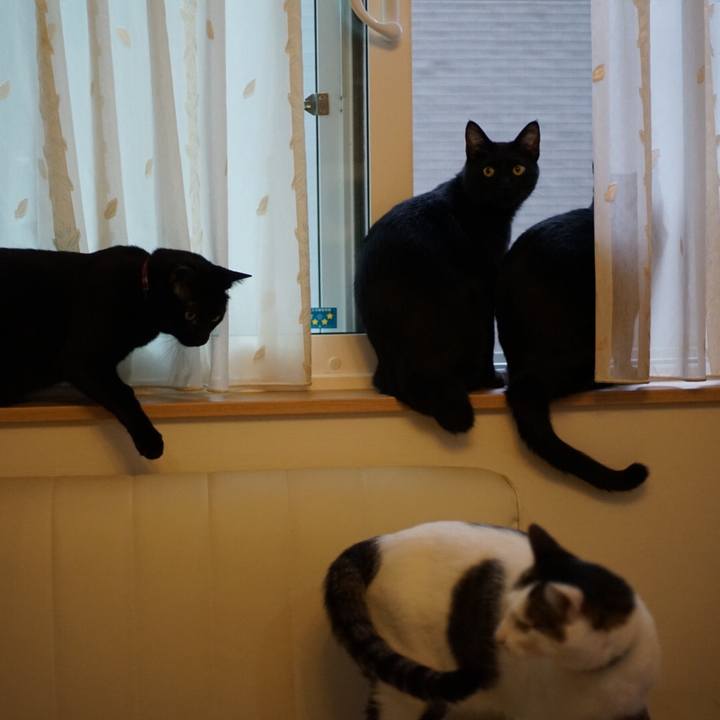 8788c453 8427 4d3e a28c f6e429b04a66 1523436646077