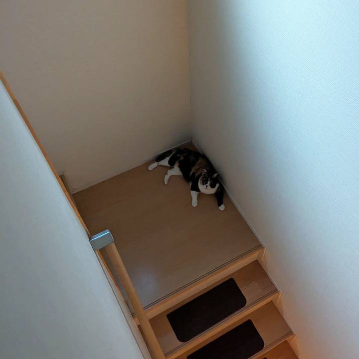 878908e4 878e 4496 93f5 ee76bf6c66ed 1718017355983