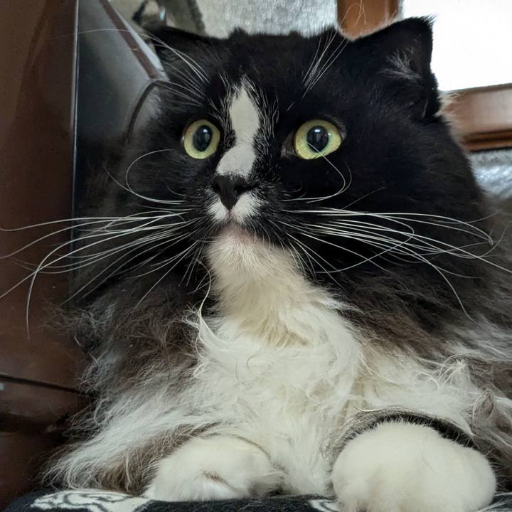 878988d5 3902 4065 a909 8c7190044511 1732445001458