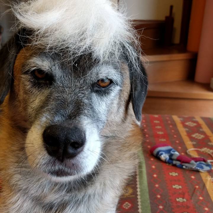 87898f9a 3090 4302 983f 7b31723d23e8 1537080538417