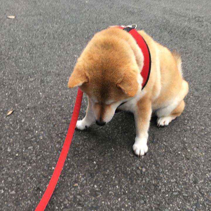 8789cd4e 32b4 46d0 bbdc 9d24363e49cf 1646345007356