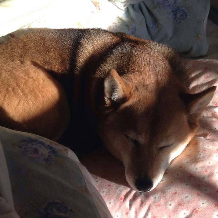 8789e27e 7c3d 4fce a987 ff63328e1e6a 1517903001188