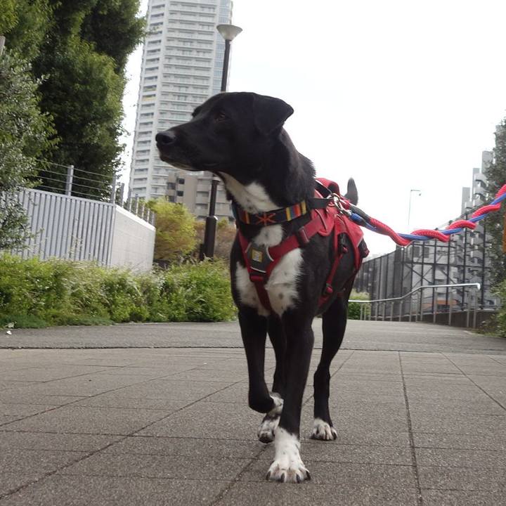 878a3756 14f6 4fe9 a6c6 6899aeb073a9 1586047421390