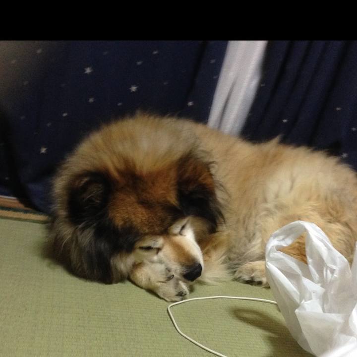 878a86f7 f971 4b77 8a55 6eb1ffbc6d8f 1650762399351