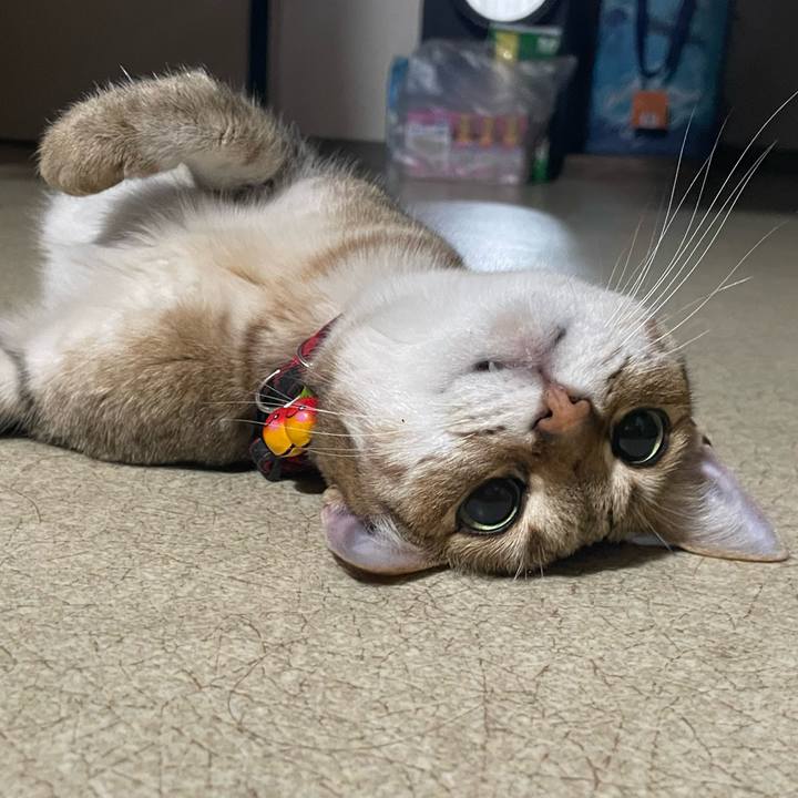 878a8eca feac 4b0e 920d fc37e73fa914 1718753495864