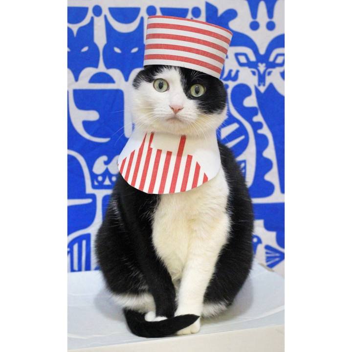 878aafd6 2a55 4771 ab8e 18f7d230761c 1586557296780