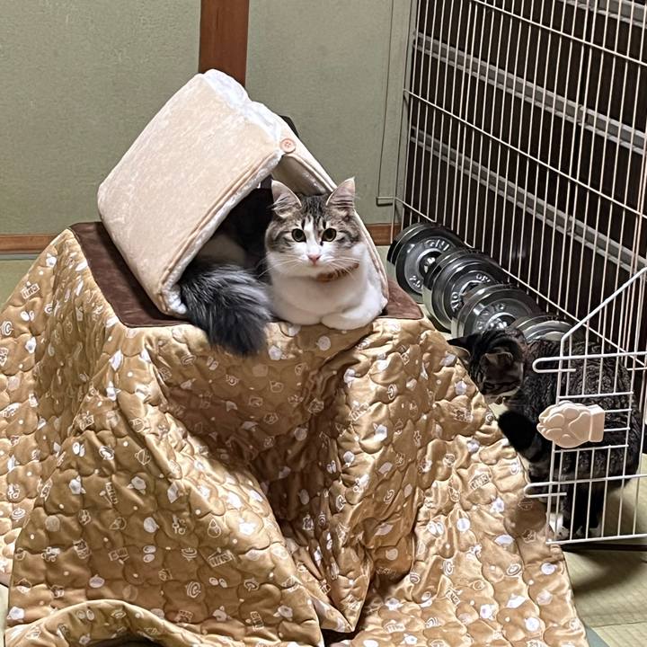 878b133c 4e73 46ca 8cea d9ea293535fb 1700100851416