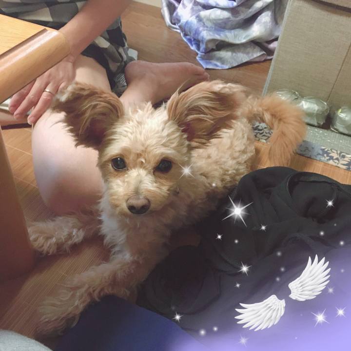 878b35b4 8ec8 4f90 9f37 20d6108d9eff 1565598241865