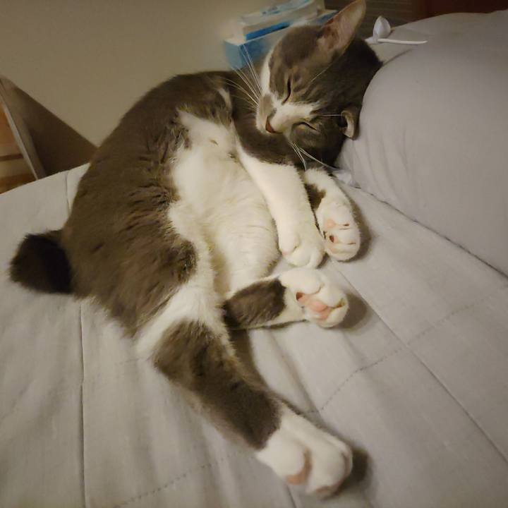 878b4bc3 fe3e 44ad bbeb 6b09e923cb5a 1662295424585