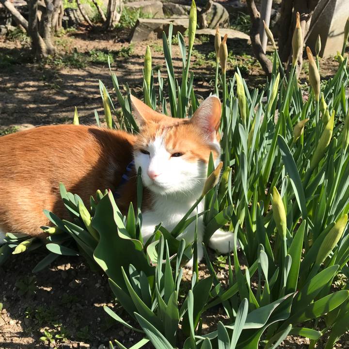 878b5a7b 5d28 43cb 9927 ed81d673c00b 1522374858995