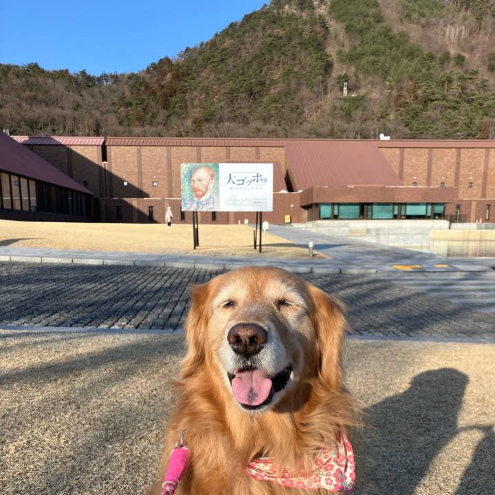 878b7994 c924 4250 865c 972537b1d2f3 1773473616033