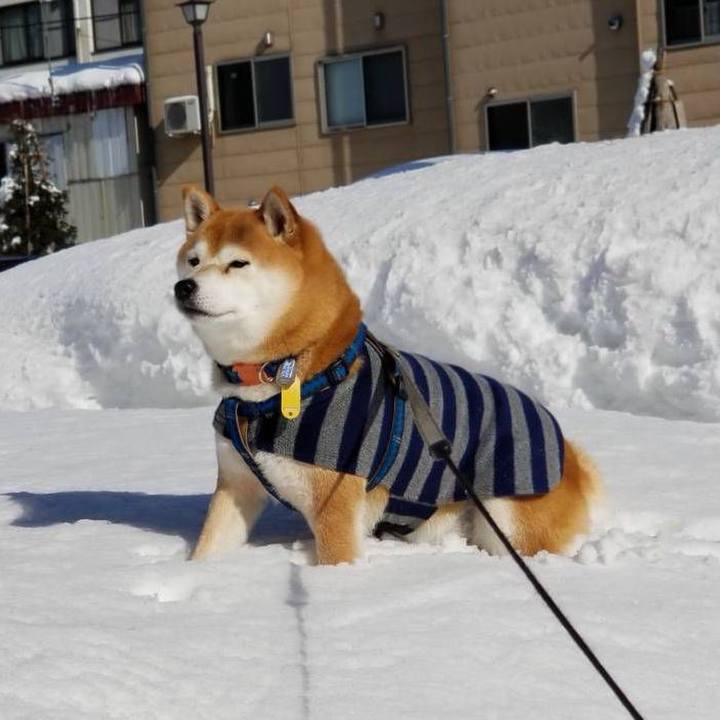 878b888b 9fc5 47d1 962f 3f35ccf150ae 1548822359943