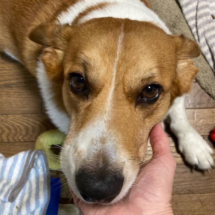 878b9125 3e38 4e07 9554 cb5cb757f801 1760784016269