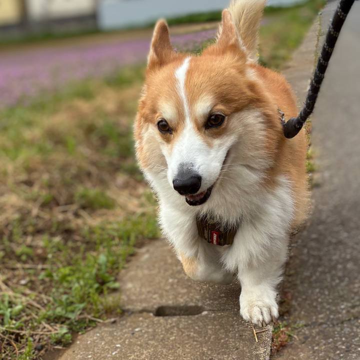 878bbc0f a8ac 48f2 8cc8 a42dc71f86e0 1776482337121