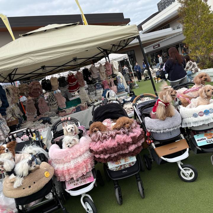 878bd128 7b24 44d7 90eb af24cf2642ec 1771151320711