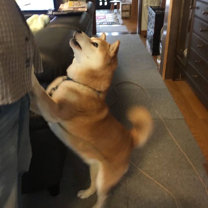 878bd89e da66 45db a086 1fed02aea12c 1569640965173