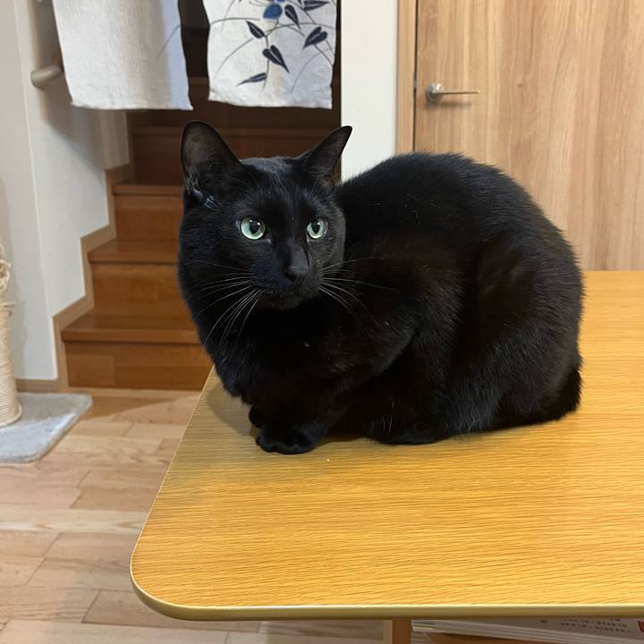 878c12e6 17c7 4231 92f0 e1754f2ed83e 1647695728147