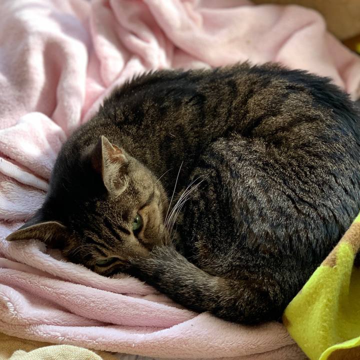 878c47b3 8ac3 443e b59c 643baa88a502 1603070447806