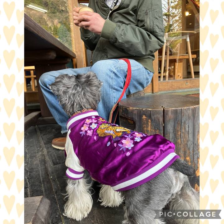 878c5685 7ef0 4ecb 8754 013865ca3ac8 1743920916444