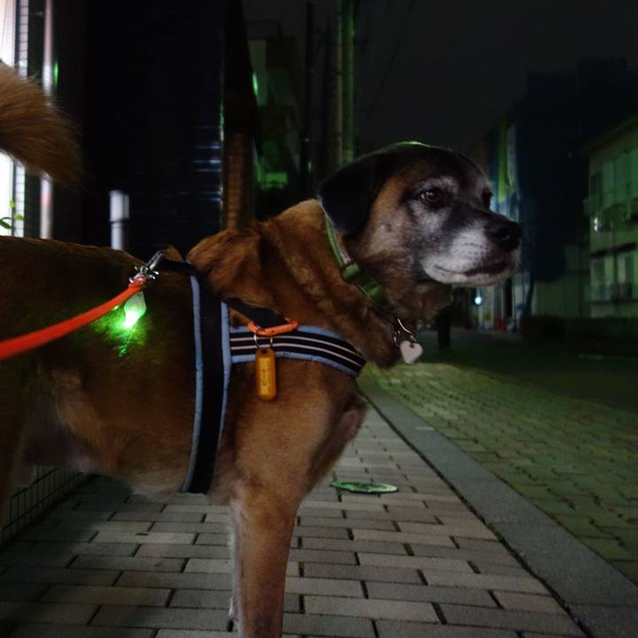 878ccd79 684f 486d b5c4 1be1603314da 1512125634754