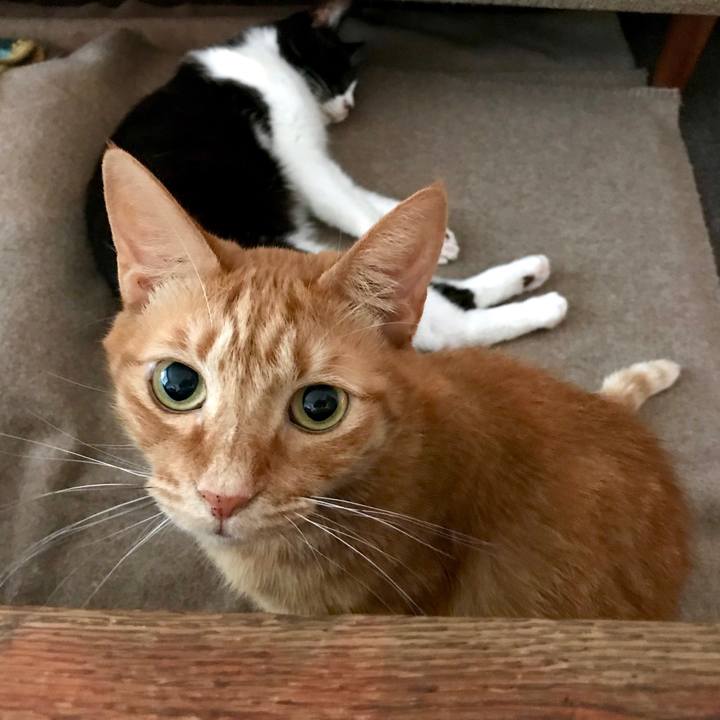 878cd2b0 a015 42c4 85c3 ebc8b5c3db4a 1551146525157