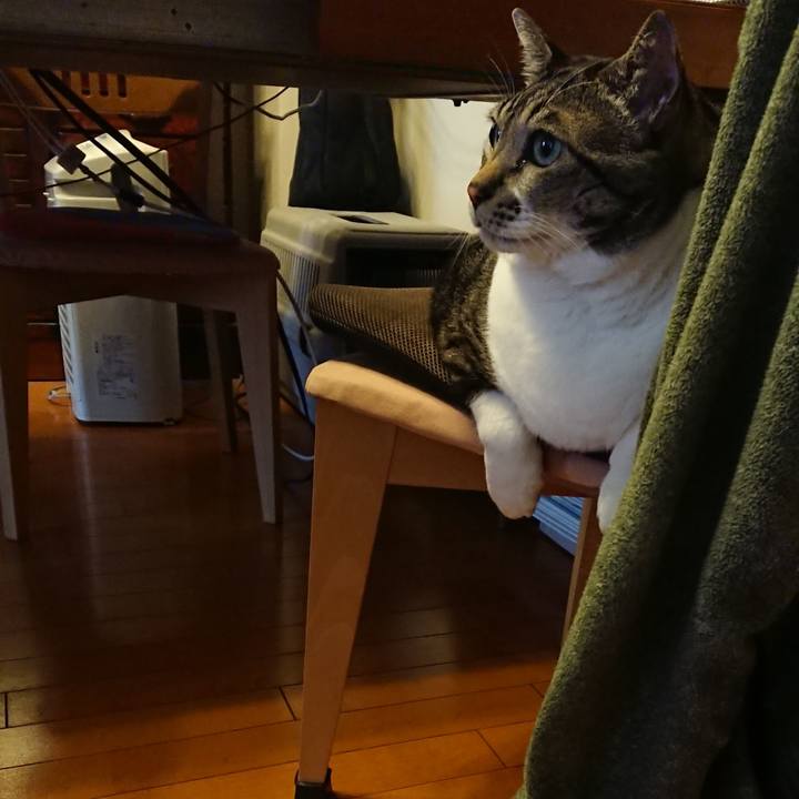 878d0938 d85d 453f 90b3 d5243a1c6242 1543963299598