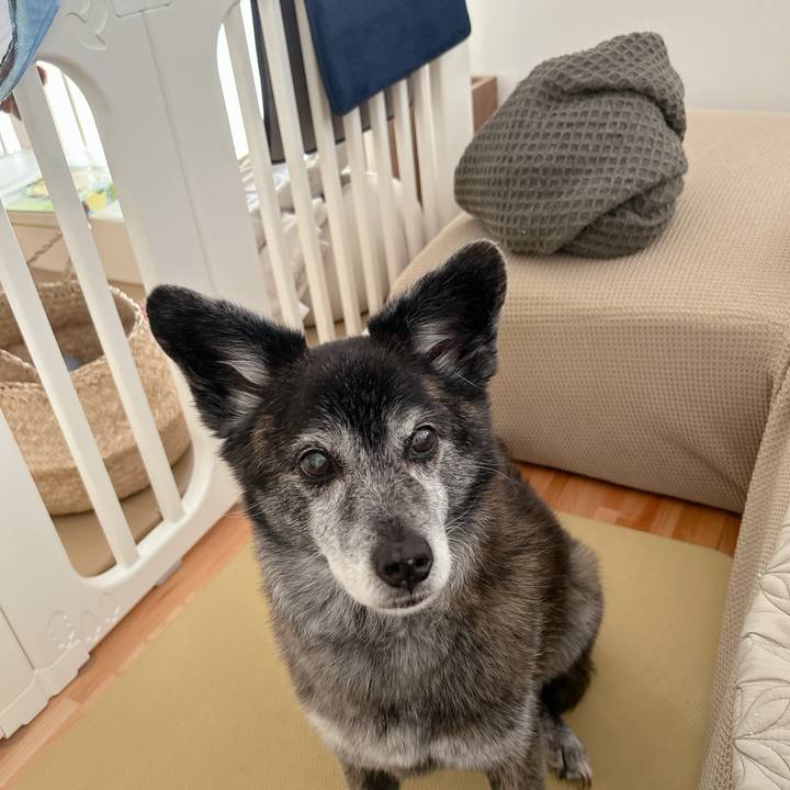 878d0e6a ee11 47d3 8cd9 a8dd84e82b22 1760968399096