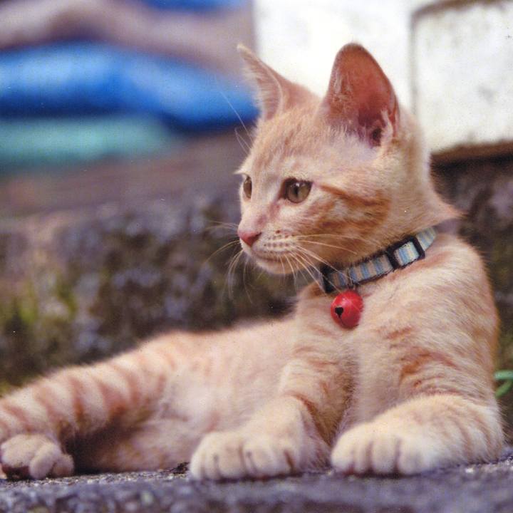 878d1143 86ea 468b 8150 30f48a2a89eb 1533683988561