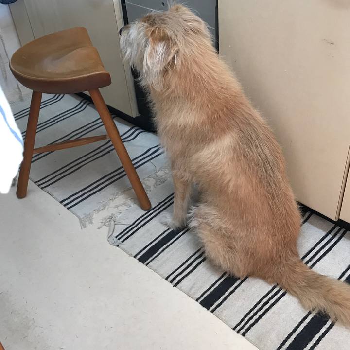 878d2445 b938 4033 af61 7e6a559e3de3 1609030851138