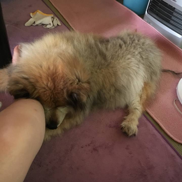 878d6590 028c 4c3a a54a 55d02775b1c7 1557270254453