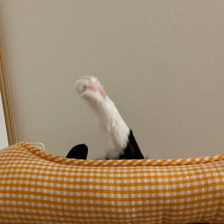 878d6c19 7319 452a b65b d488a402ead9 1666501079697