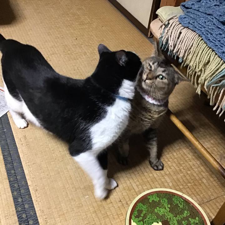 878d8138 6e54 4e9f 97aa 631b140dc7bf 1751361781206