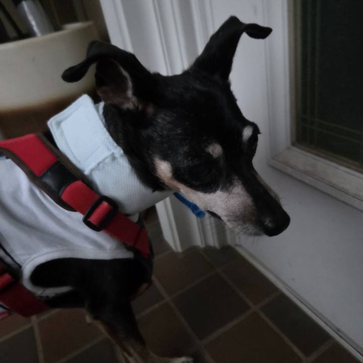 878e1c86 fc9c 4977 8bea 7408eb6161e6 1756153953353