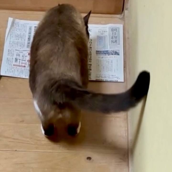 878e21ca b3b9 4bee 9711 d3c809979937 1756176423884