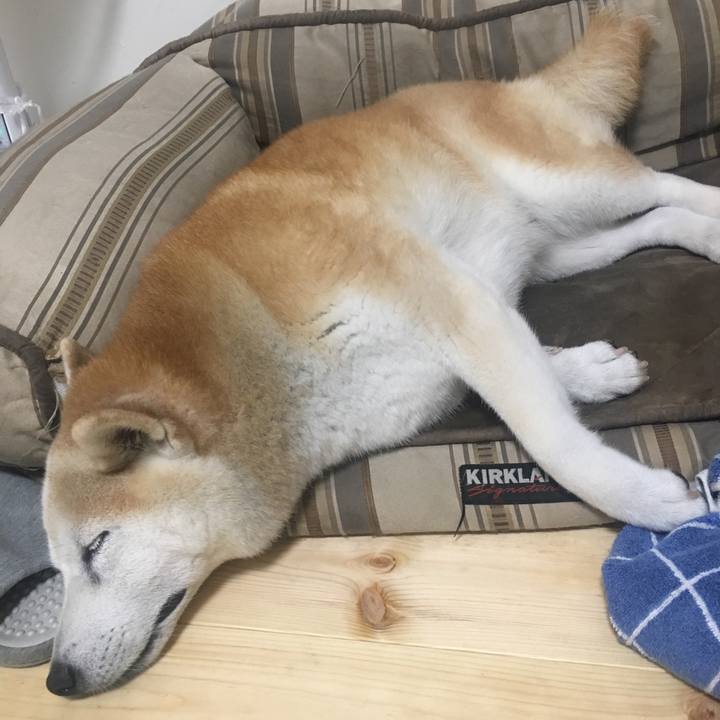 878e5454 daaf 46da a261 aea24a02471d 1535120757426