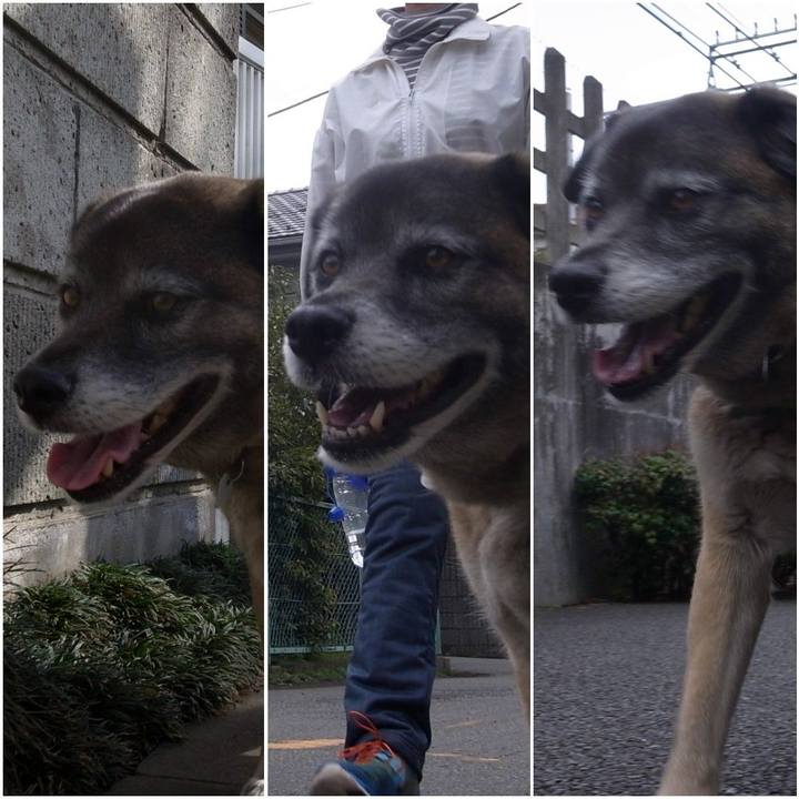 878e6869 e9bf 40d5 ab38 306eb386a427 1584922258439