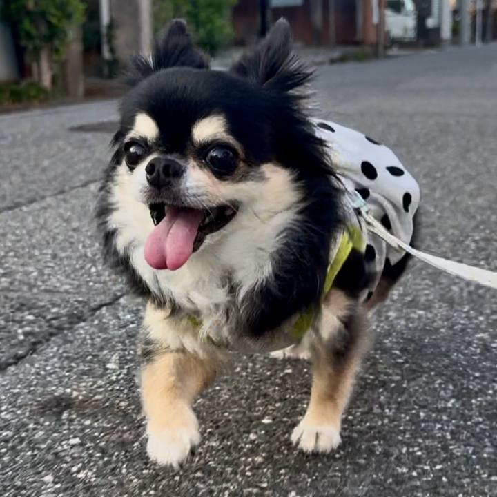 878ea2ae 2c0f 454c a3f2 b5dea832e9c0 1754433698709